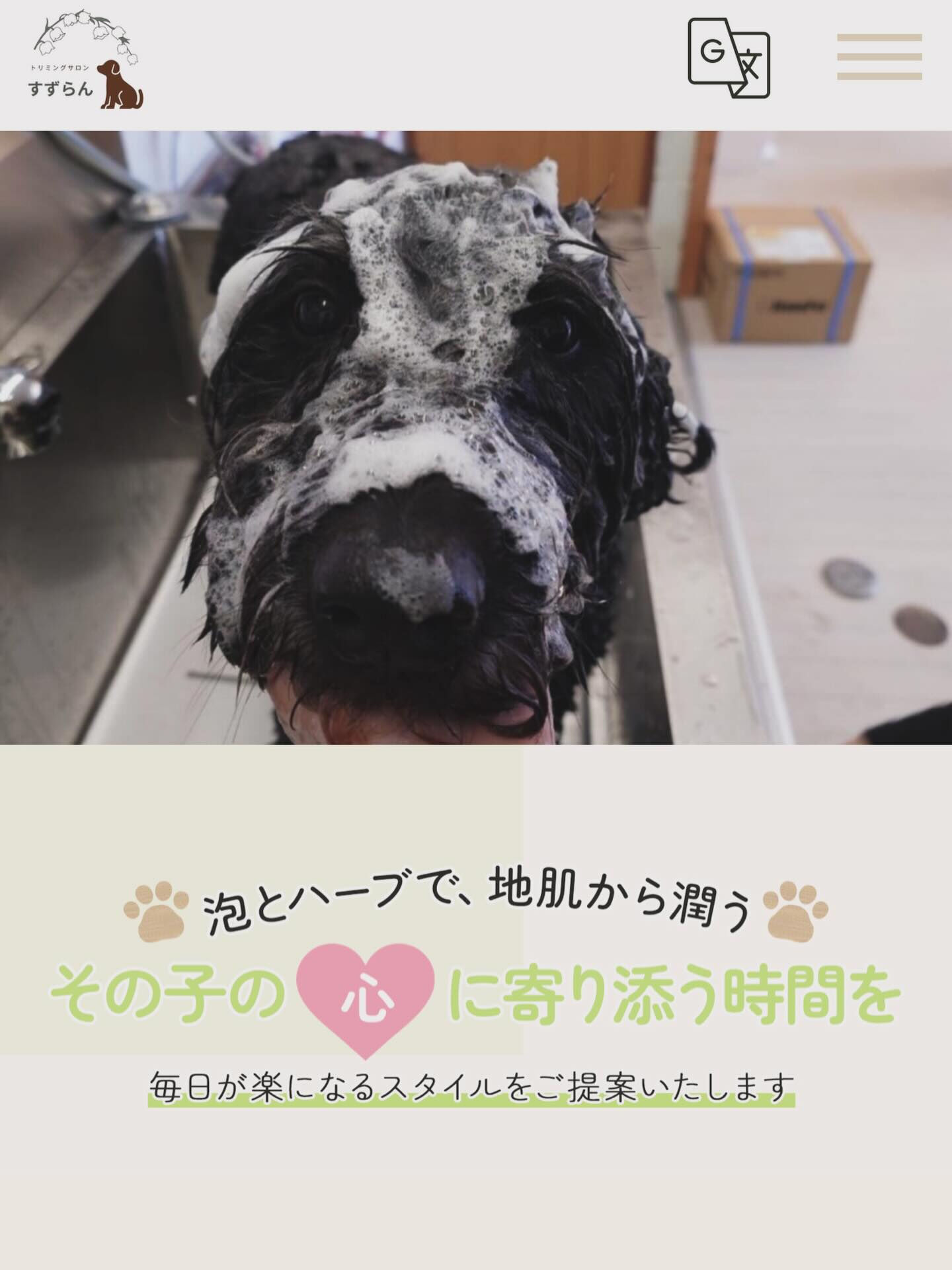 こんにちは♪すずらんです🌸