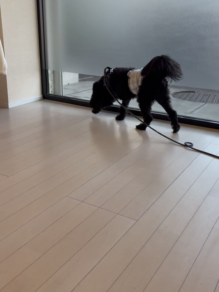 mixのモコ君