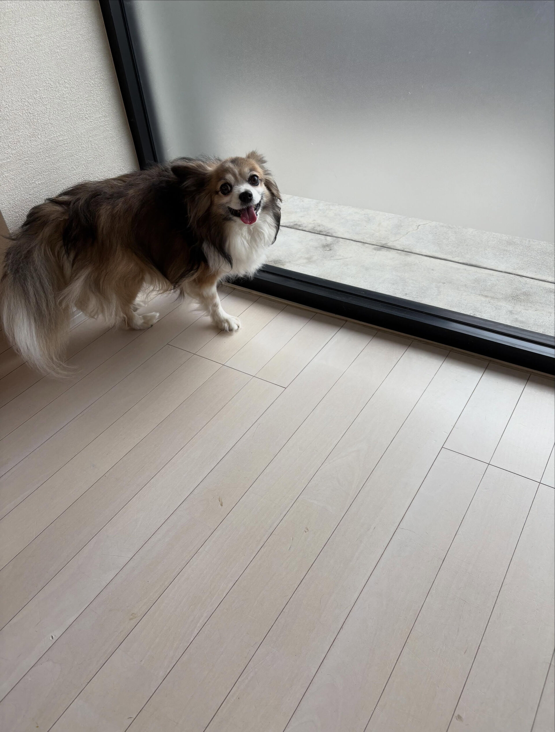 ミックスの空汰くん
