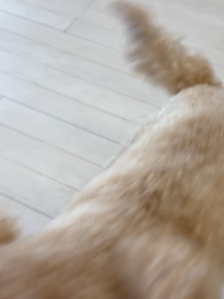 ミックスのむぎ君
