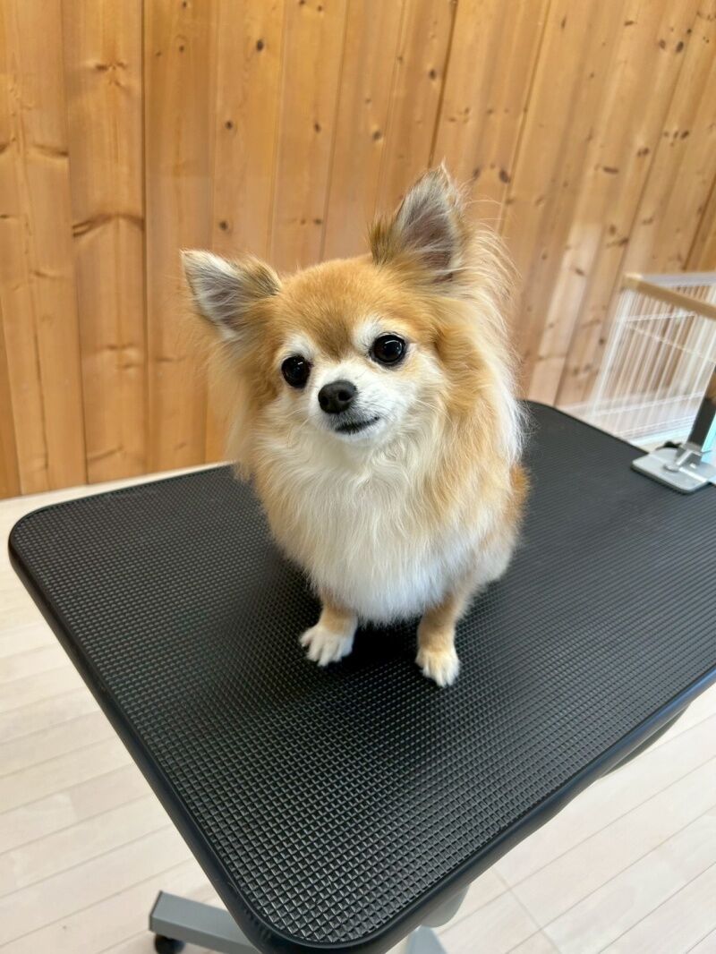 個々の状態に合わせた細やかなお手入れ