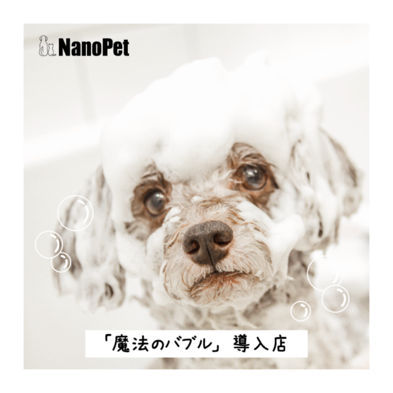 シャンプー