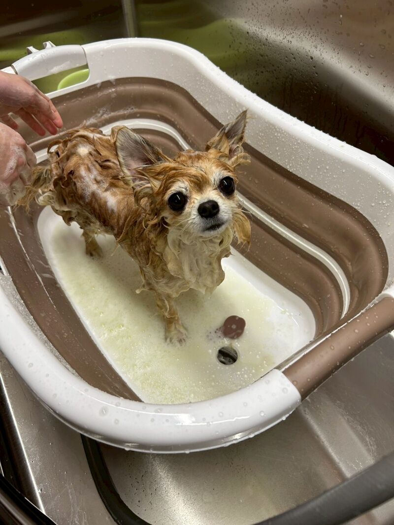 ハーブパック